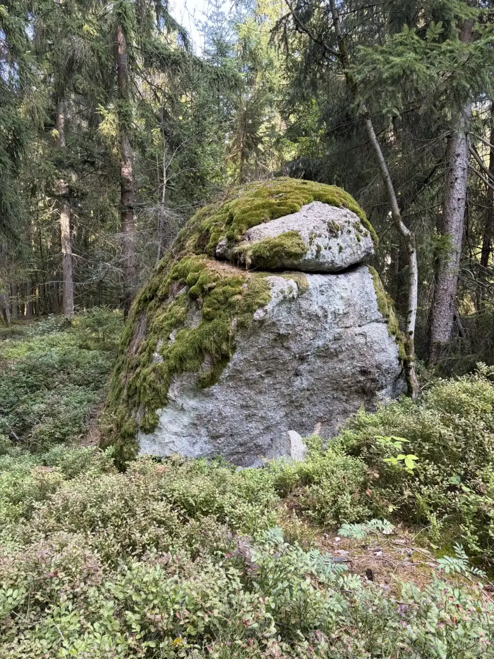 Einhundertneunundzwanzig – Digital photo