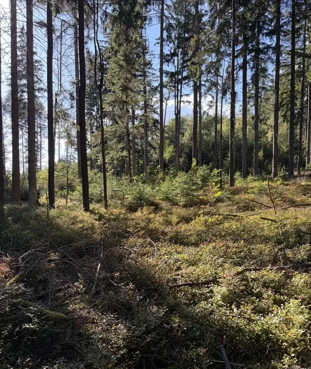 Einhundertdreißig – Digital photo