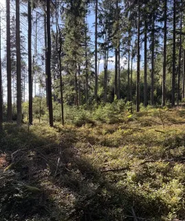 Einhundertdreißig